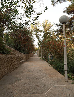 آموزش-عکاسی-طبیعت